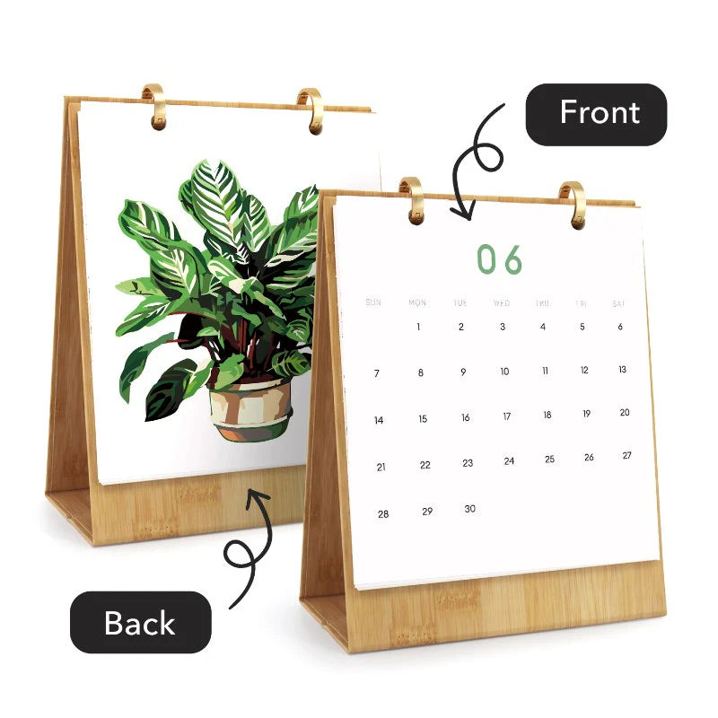 Kit de Peinture Numérotée - Calendrier de Bureau 2026 Peinture par Numéros | édition plantes
