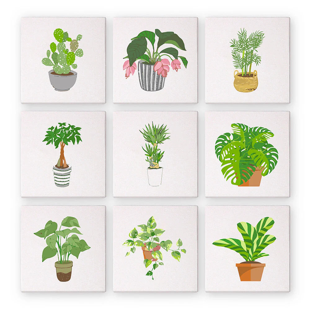 Kit de Peinture Numérotée - 9 mini peintures - coffret plantes d'intérieur